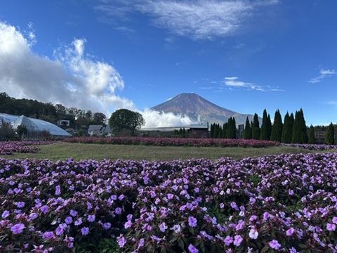 2026/10/21の写真