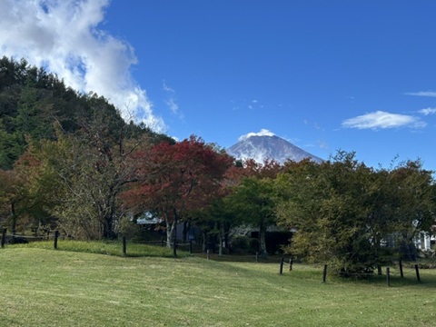 2026/10/21の写真