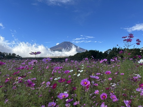 2026/10/21の写真