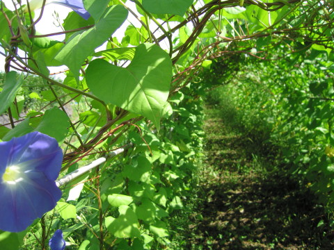 2009/08/09の写真