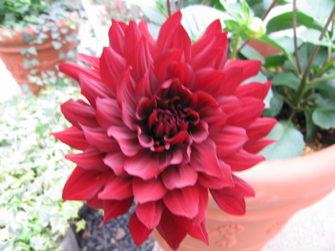 2009/12/10の写真