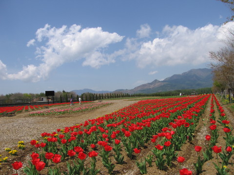 2010/05/08の写真
