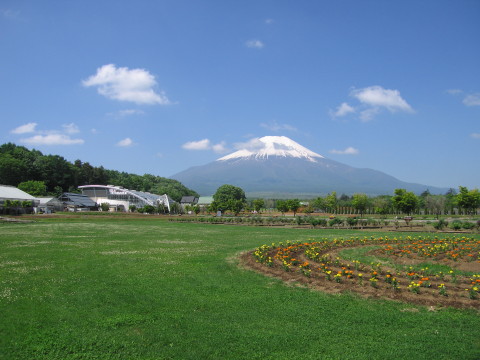 2010/06/21の写真