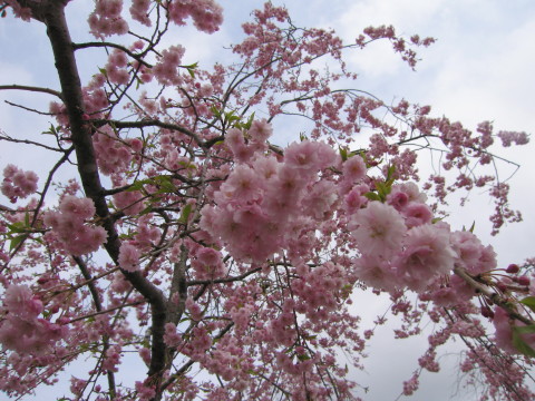 2011/05/05の写真