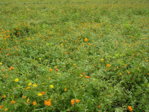 2011/09/22の写真