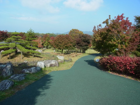 2011/10/14の写真