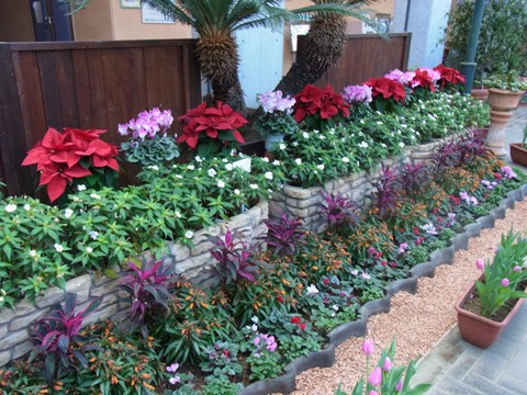 2011/12/16の写真