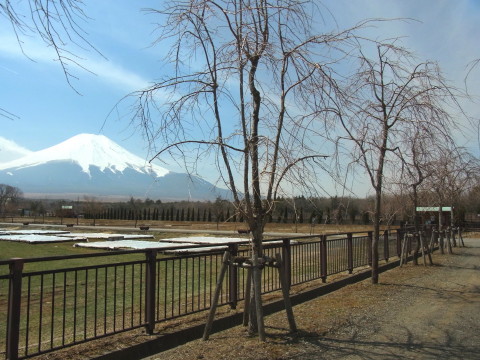 2012/04/10の写真