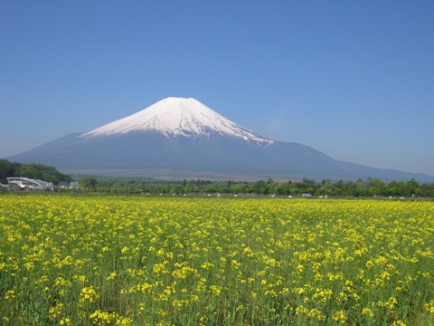 2007/05/23の写真