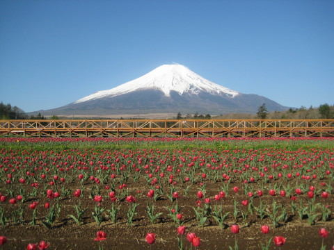 2012/05/05の写真
