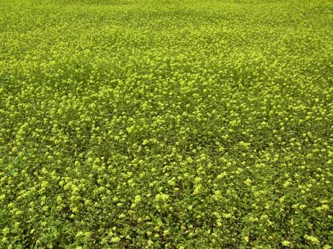 2012/06/14の写真