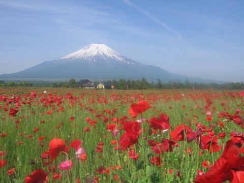 2007/06/13の写真