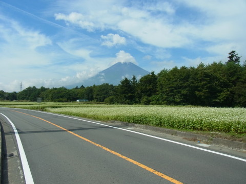 2012/09/06の写真