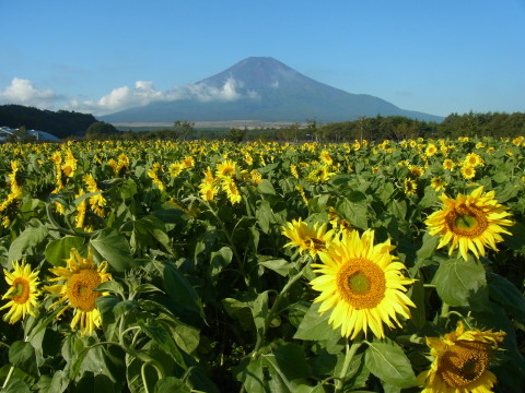 2012/10/05の写真