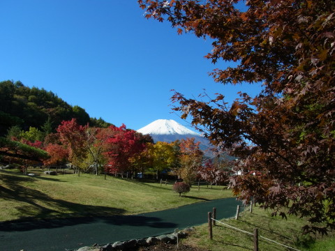 2012/10/29の写真