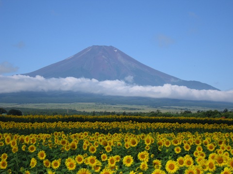 2007/08/19の写真