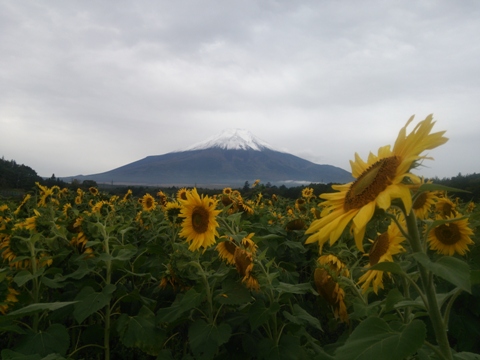 2013/10/19の写真