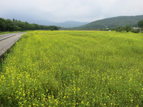 2014/06/24の写真