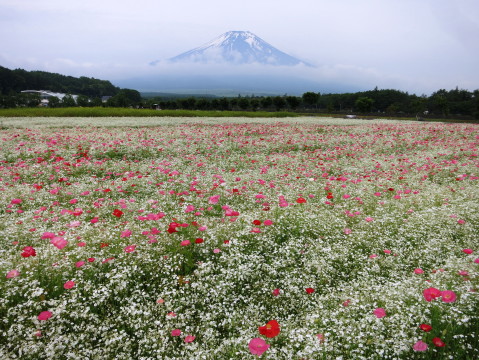 2014/07/03の写真