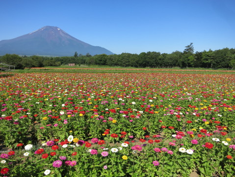 2014/07/27の写真