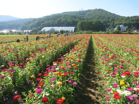 2014/07/27の写真