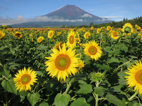 2014/08/15の写真