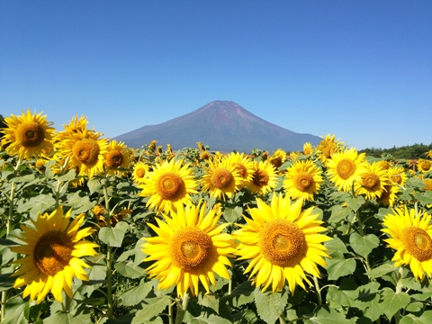 2014/08/22の写真