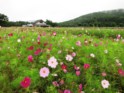 2014/09/07の写真