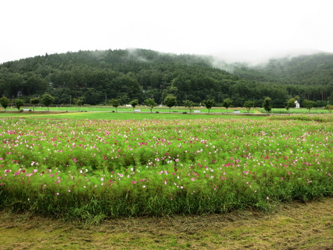 2014/09/07の写真