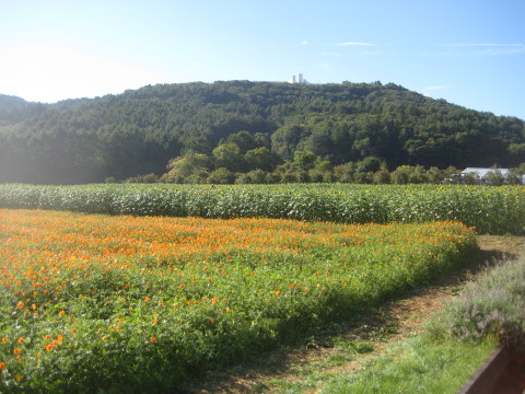 2014/09/21の写真