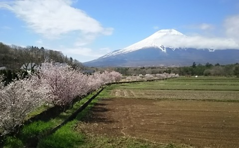 2015/04/22の写真