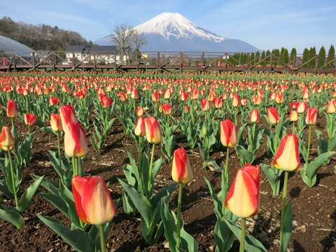 2015/04/24の写真