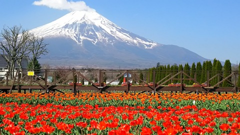 2015/04/27の写真
