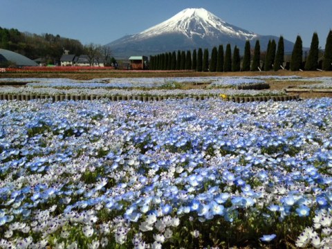 2015/05/02の写真