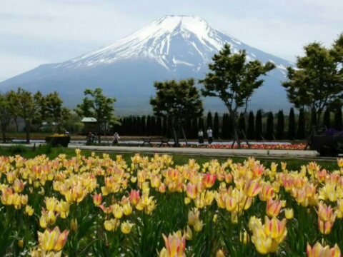 2015/05/11の写真