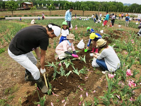 2015/05/23の写真