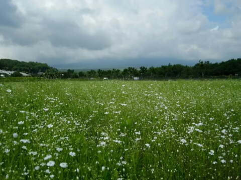 2015/06/23の写真