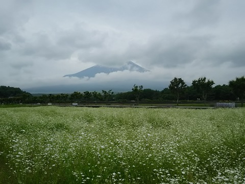 2015/06/26の写真