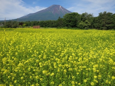 2015/06/28の写真