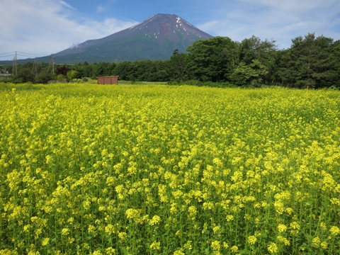 2015/06/28の写真