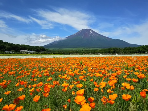 2015/06/28の写真