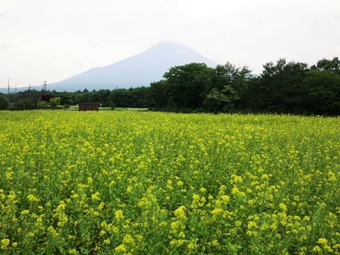 2015/07/04の写真