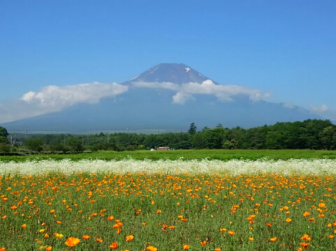 2015/07/11の写真