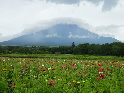 2015/07/18の写真