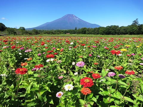 2015/07/21の写真