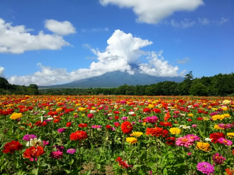 2015/08/06の写真