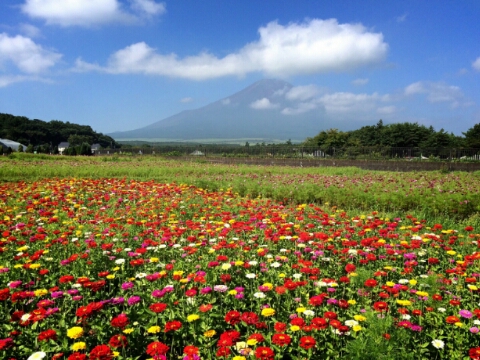 2015/08/09の写真