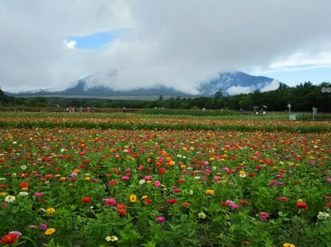 2015/09/02の写真