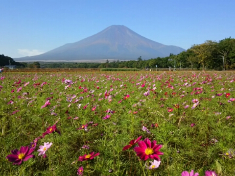 2015/10/09の写真