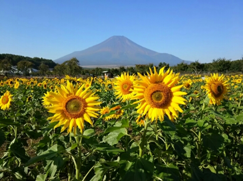 2015/10/09の写真